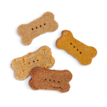 Load image into Gallery viewer, Music City Mix Biscuit Bones