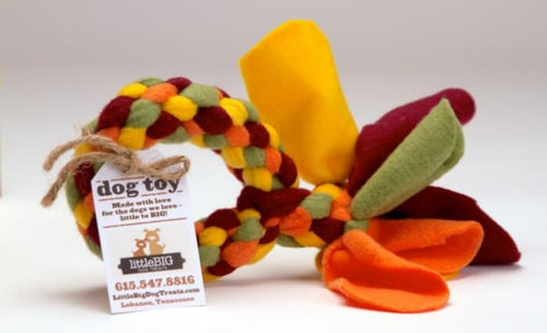 dog-toy-700×425-jpg-compressed
