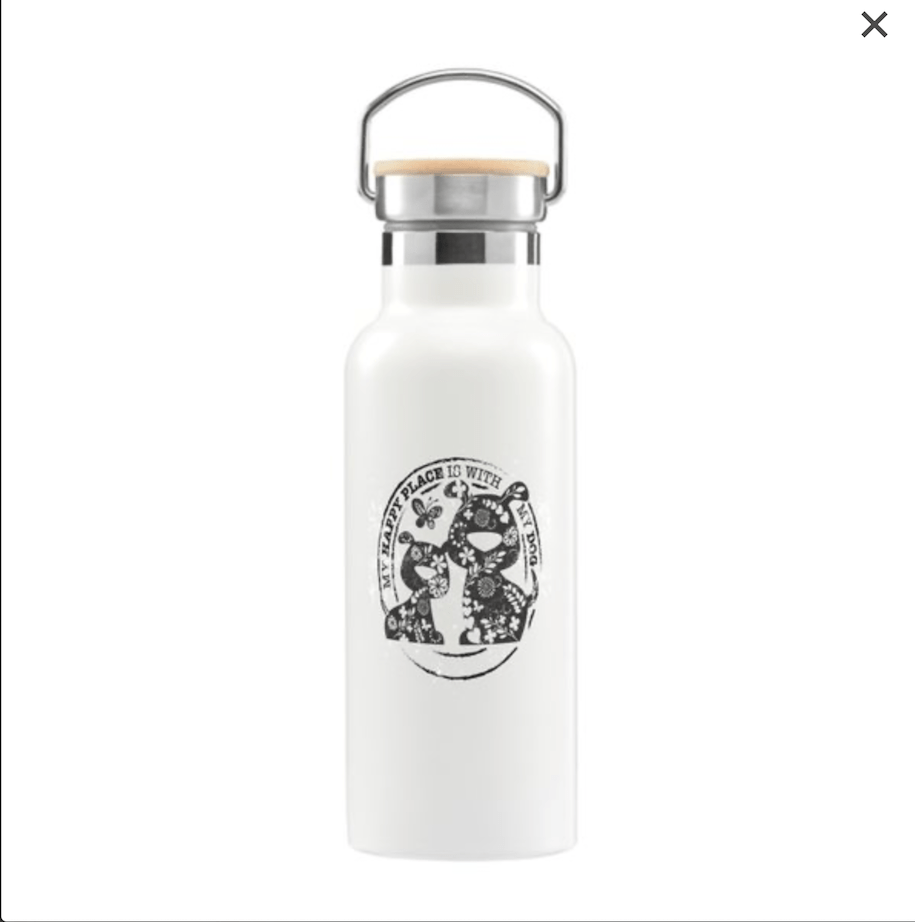 Insulated Water Bottle